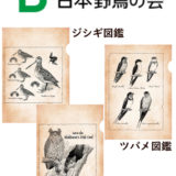 公益財団法人 日本野鳥の会 様