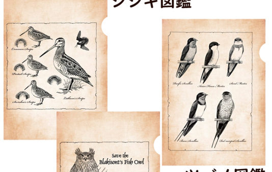 公益財団法人 日本野鳥の会 様